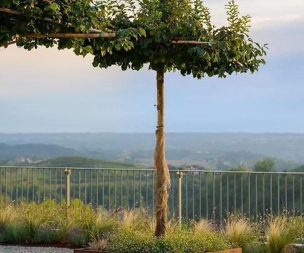 Icollirossi Monforte dʼAlba