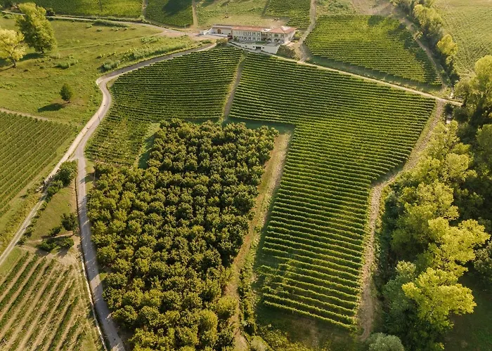 Vakantieboerderij Icollirossi *